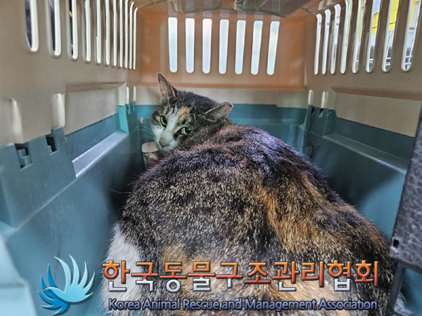 한국동물구조관리협회_411306202300772